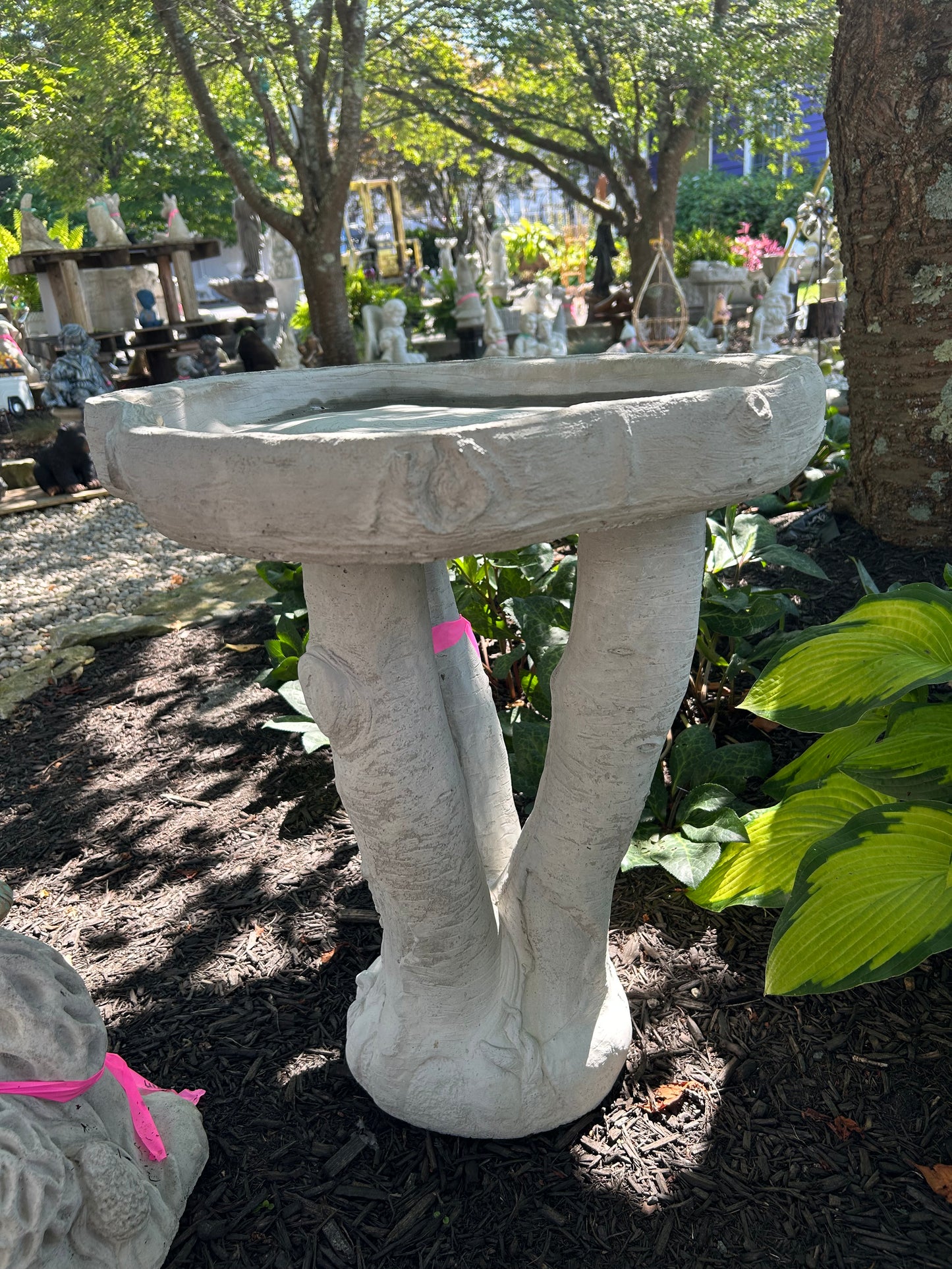 Birch Tree Birdbath