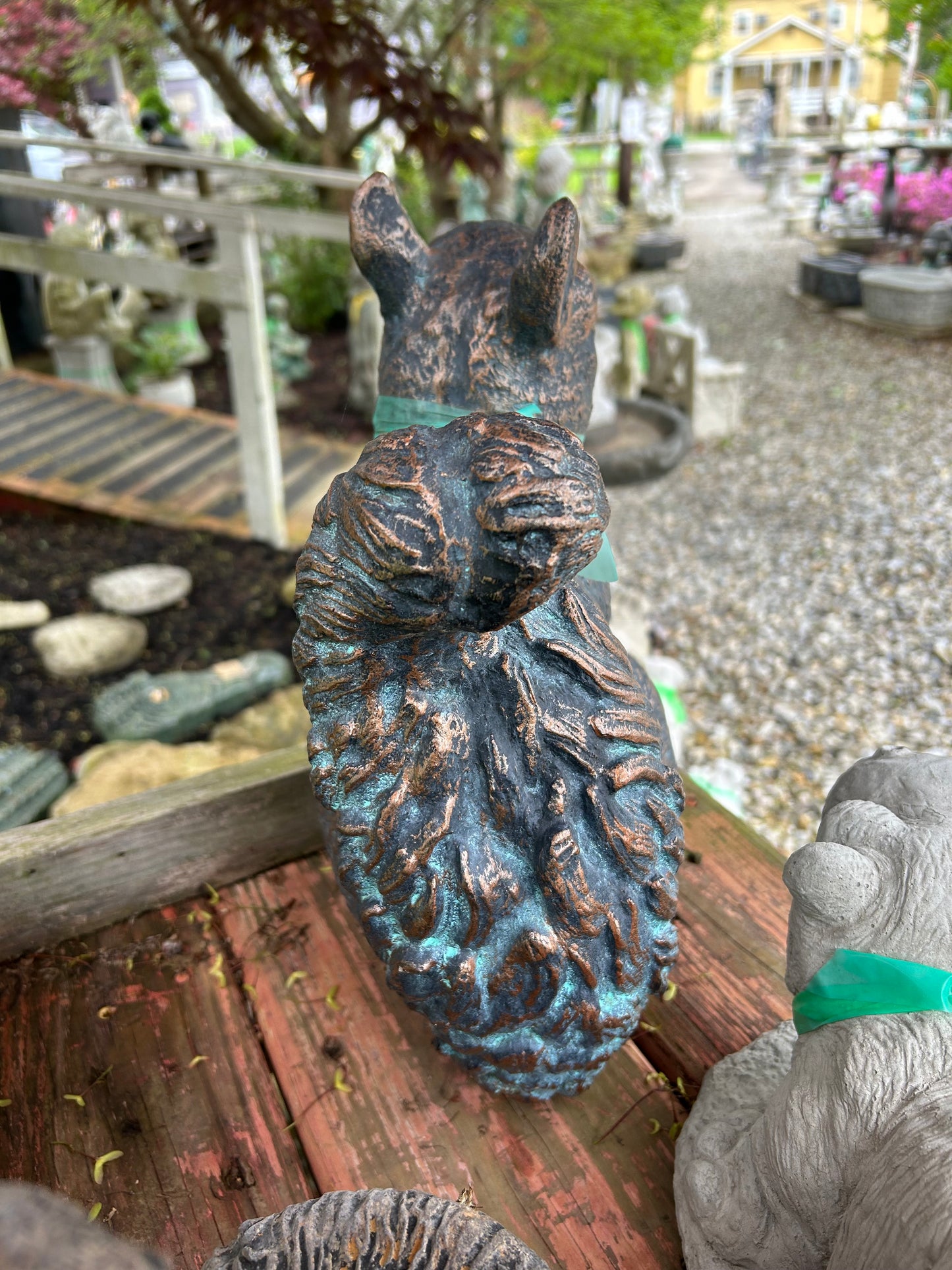 Giant Squirrel