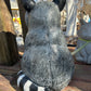 Raccoon with Apple