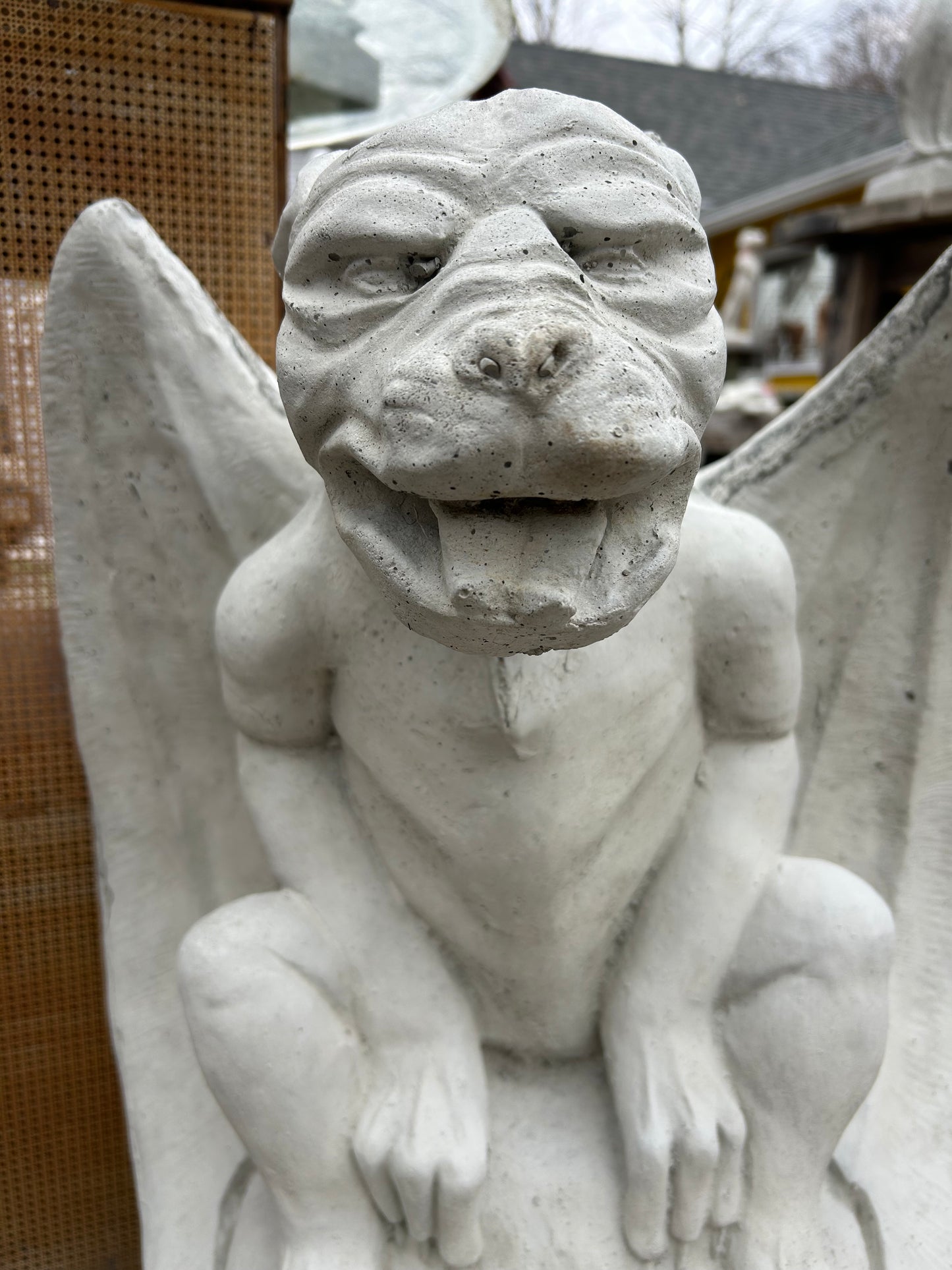 Smooth Winged Gargoyle