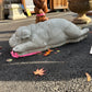 Layla- Laying Bulldog Statue