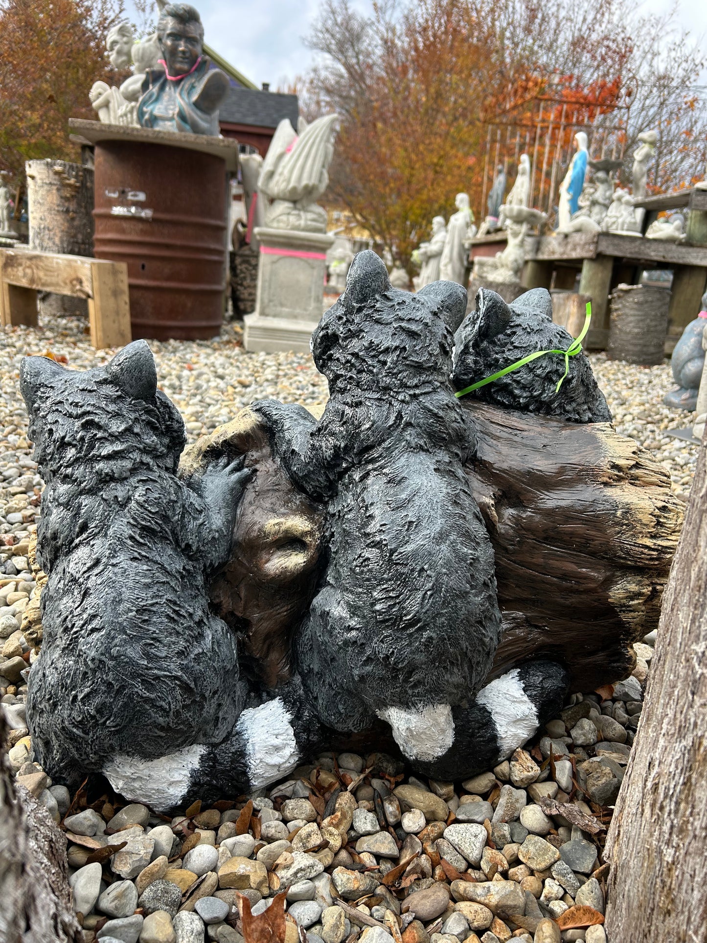 The 3 Raccoon’s Welcome Statue