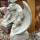 Smooth Winged Gargoyle