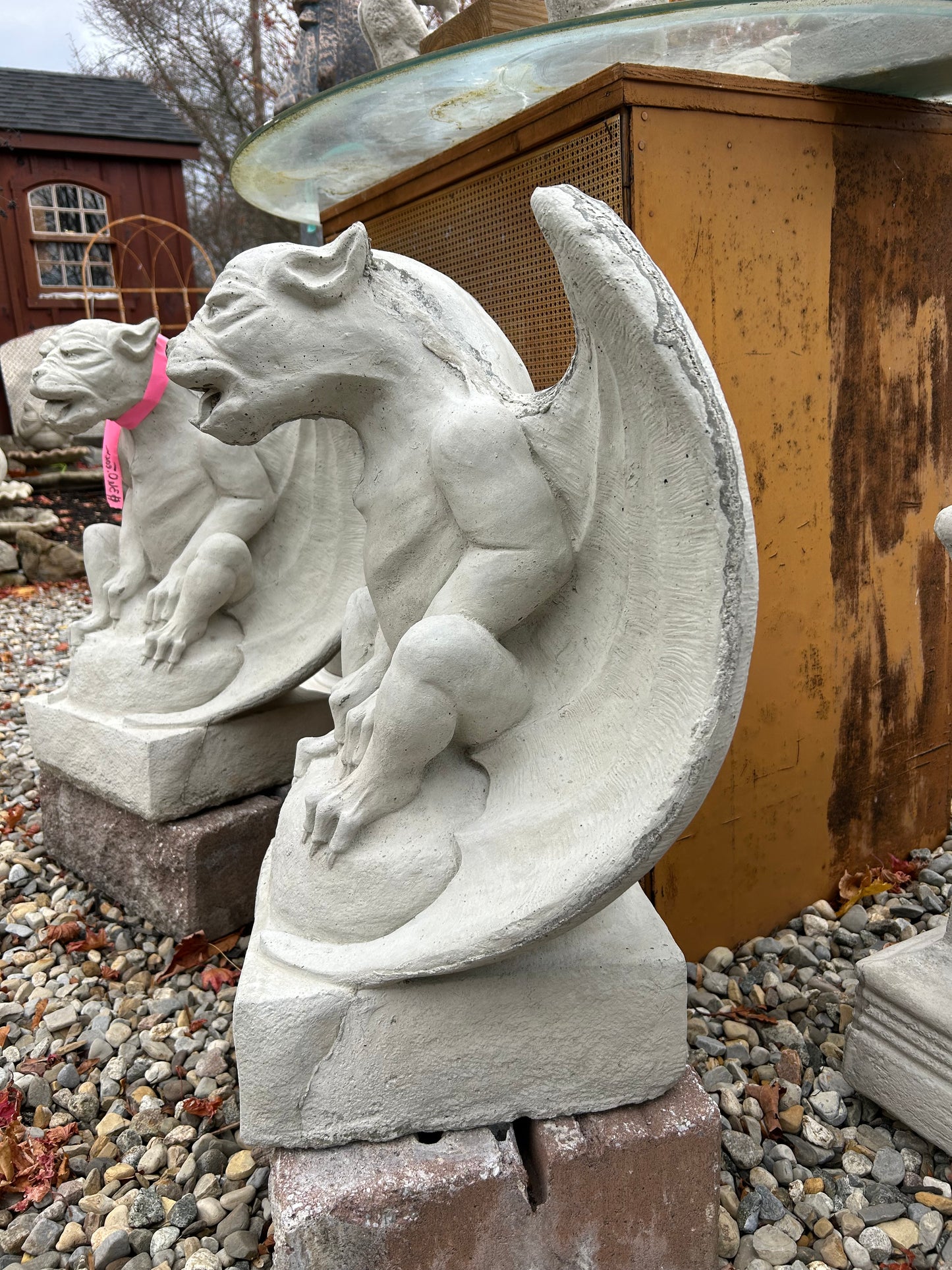 Smooth Winged Gargoyle