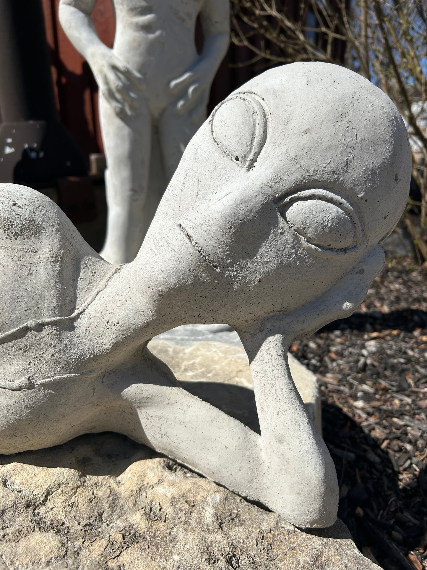Laying Alien