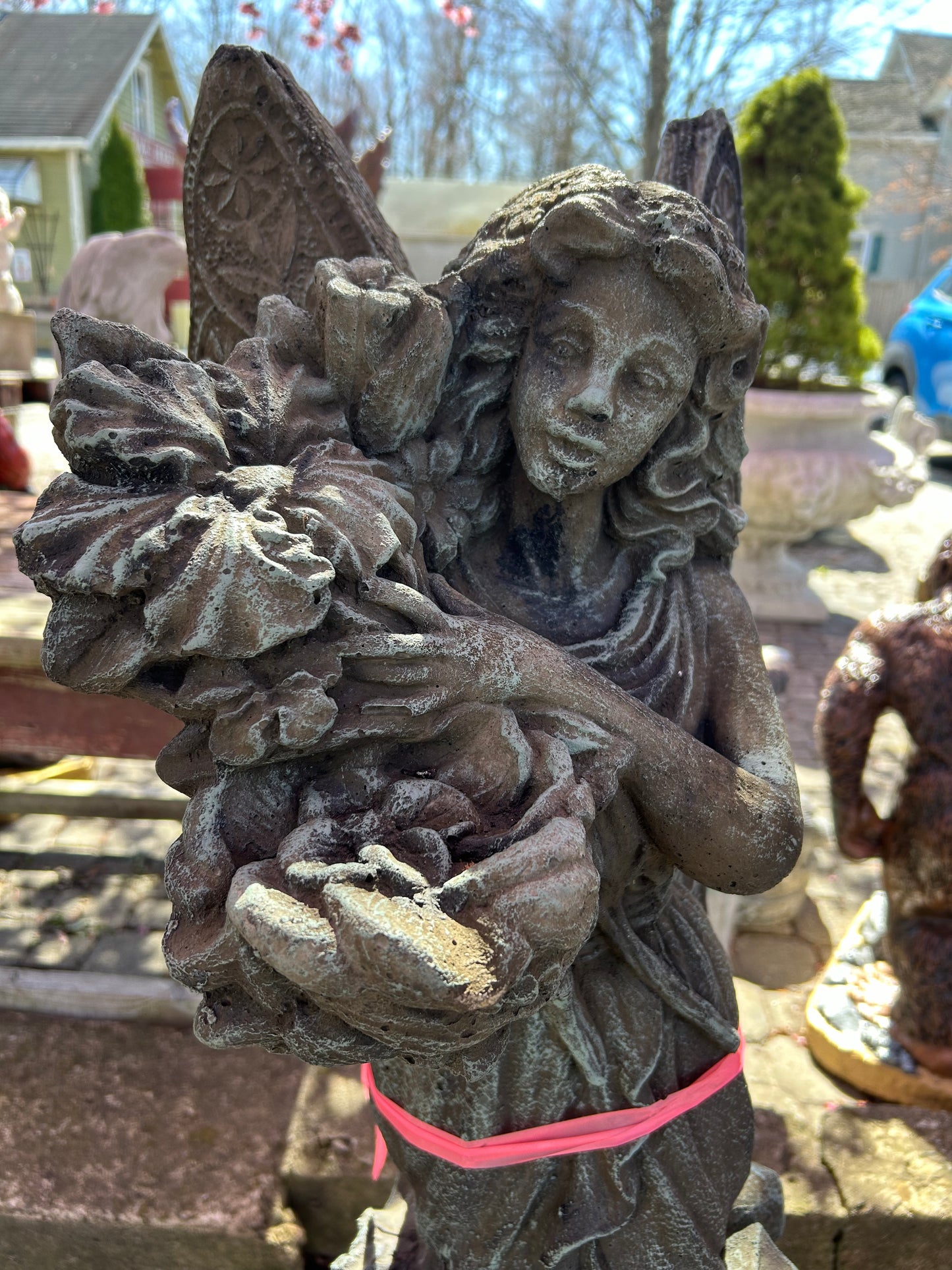 Large Fairy