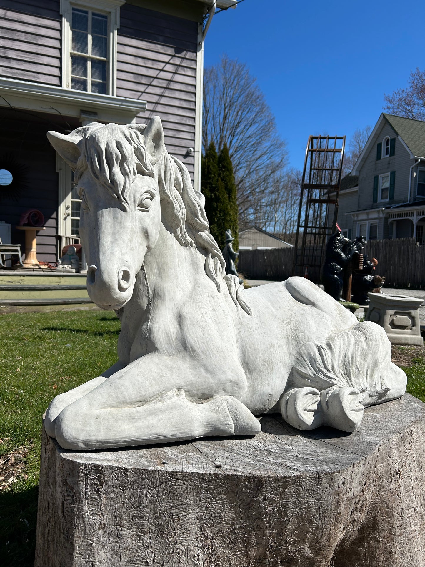 Large Laying Horse