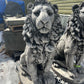 Estate Lion