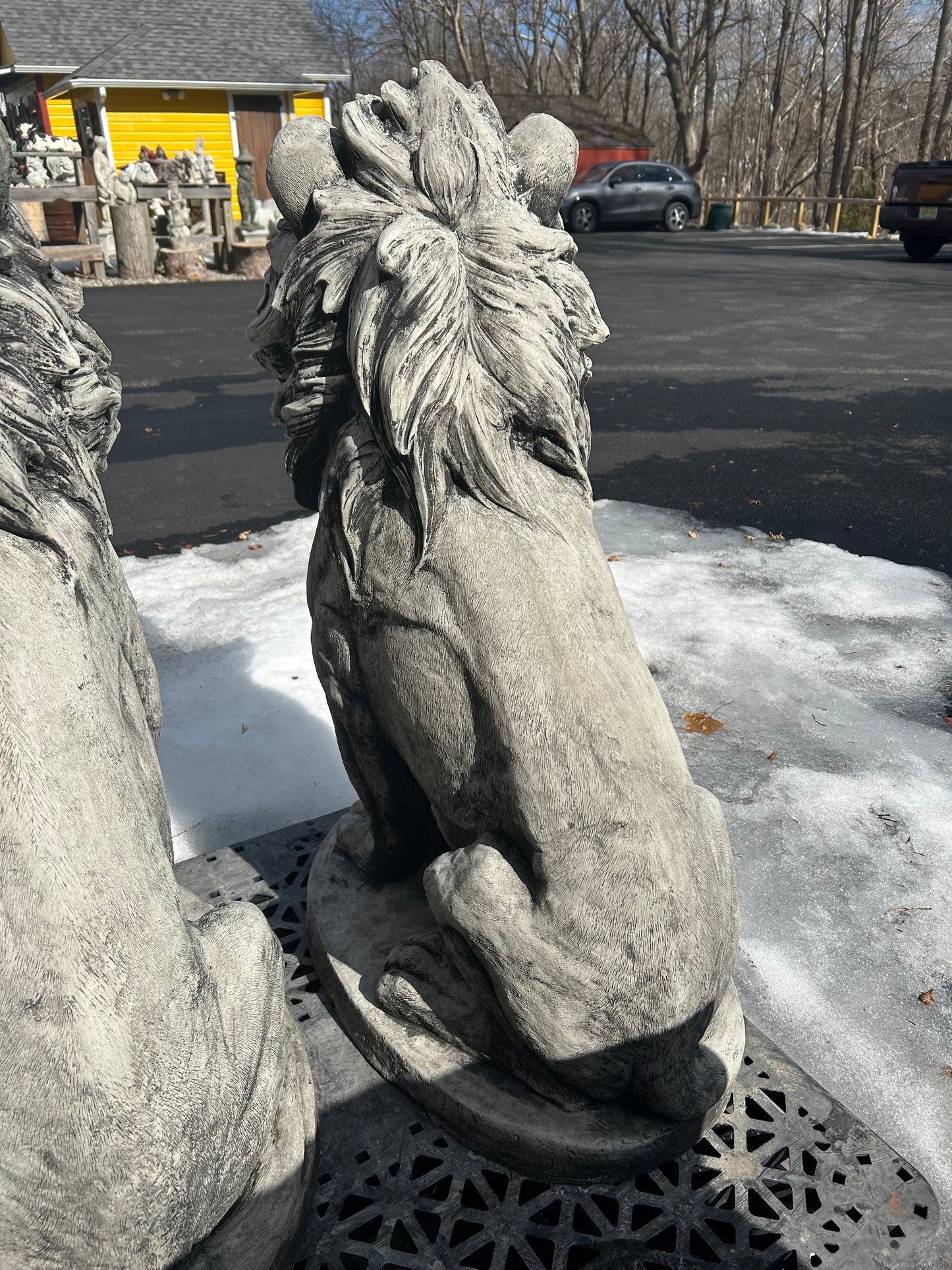 Estate Lion