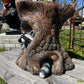 Raccoon Stump
