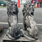 Estate Lion