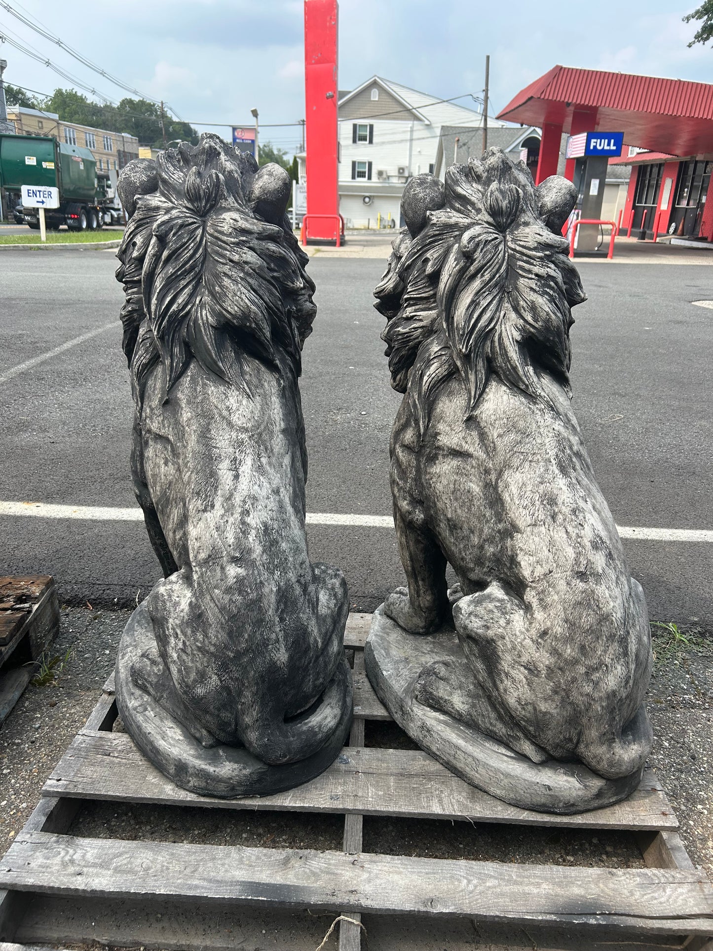Estate Lion