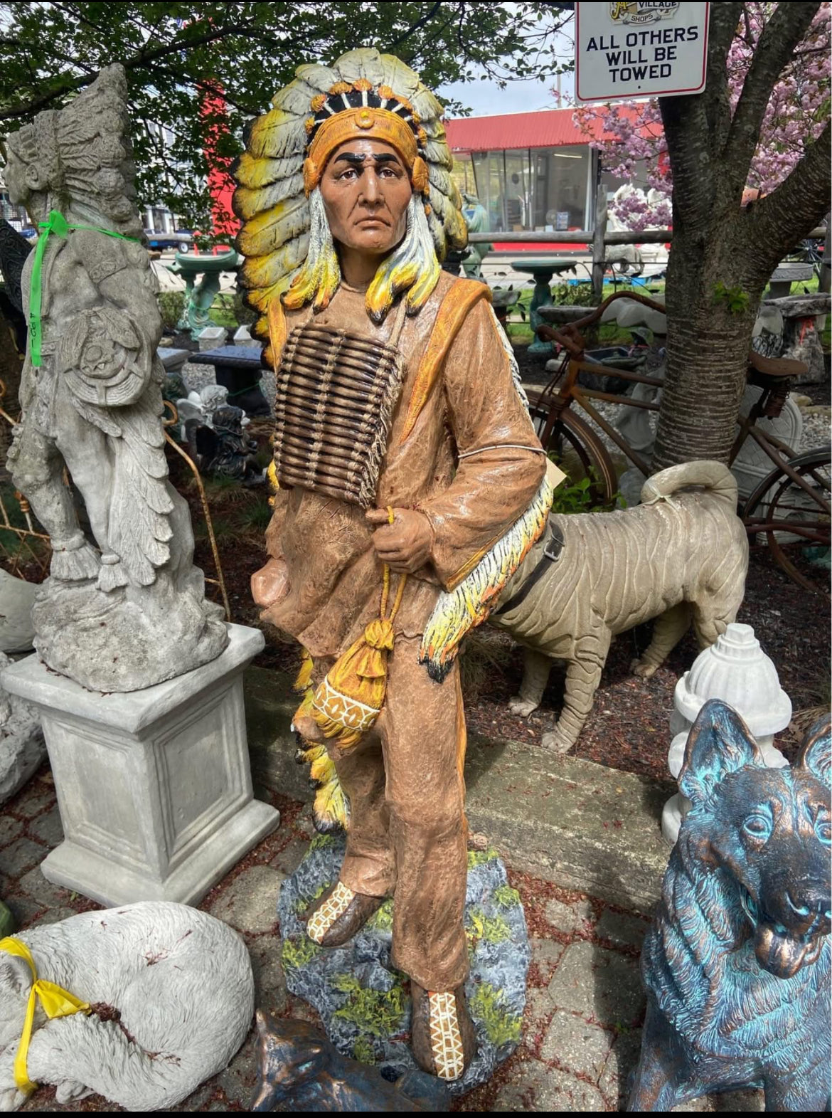 Chief Indian