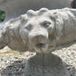 Lion Rose Planter