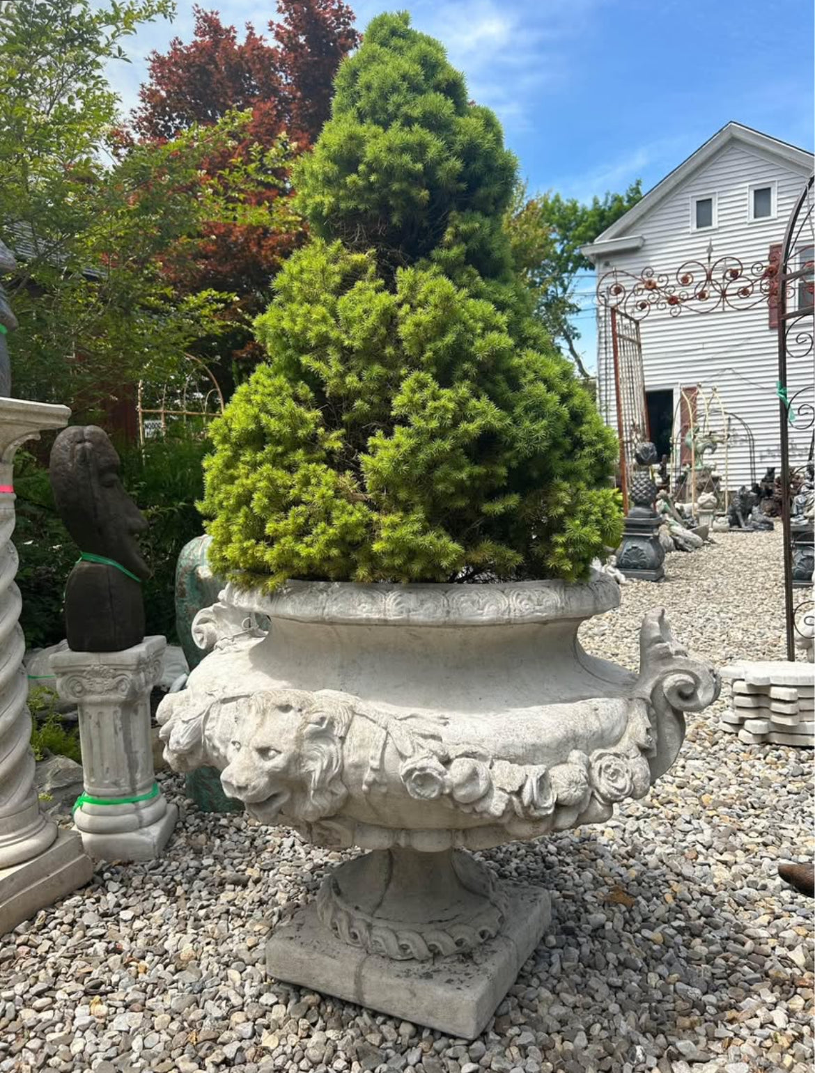 Lion Rose Planter