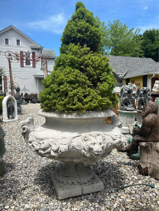 Lion Rose Planter