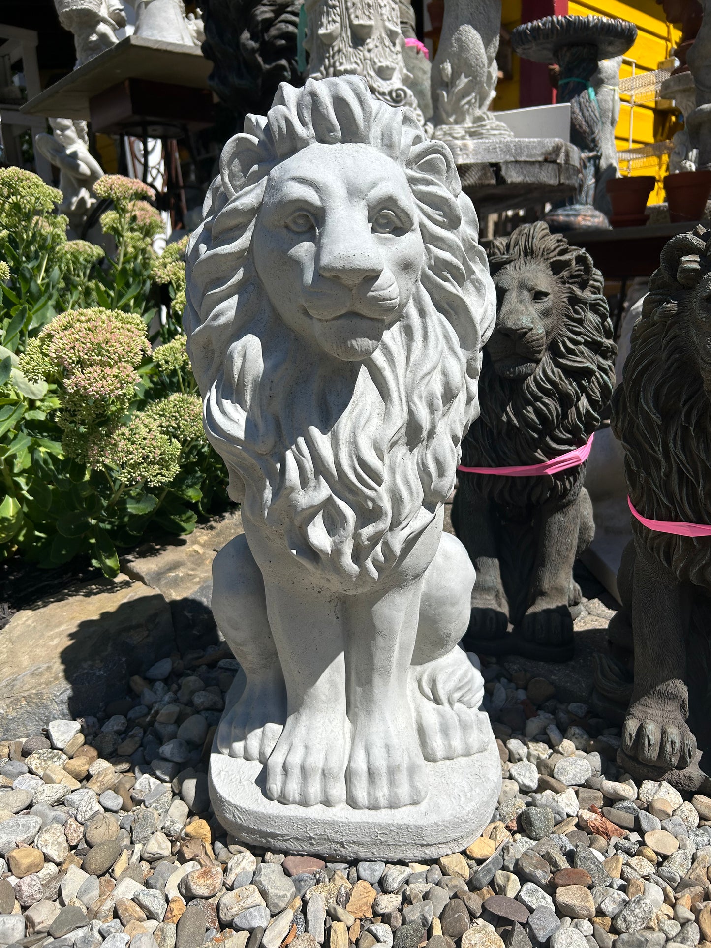 Sitting Lion 24"