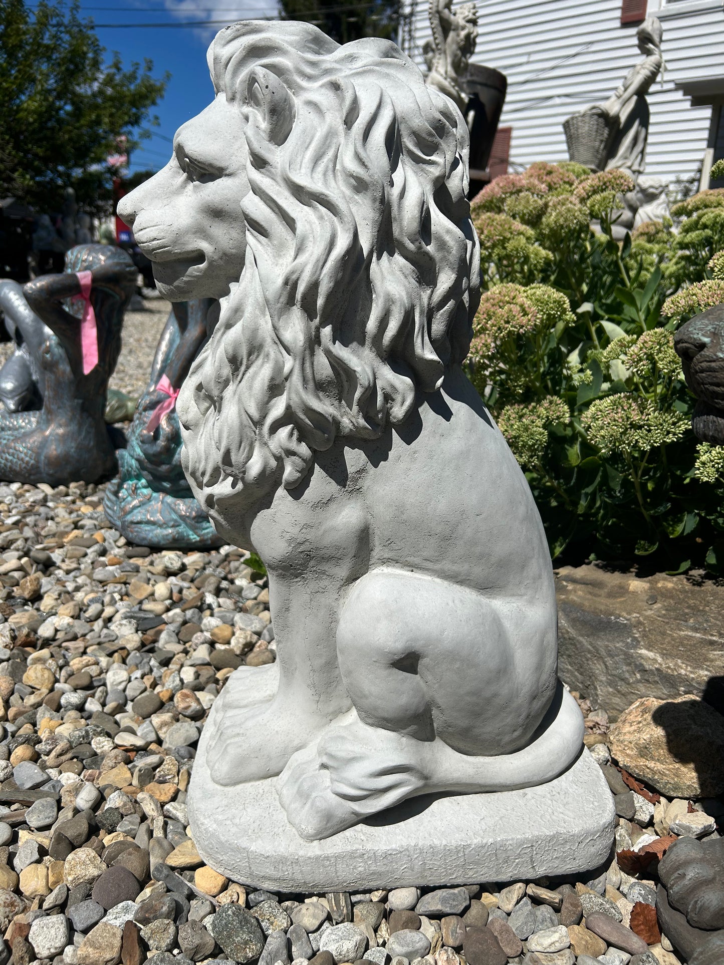 Sitting Lion 24"