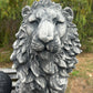 Estate Lion