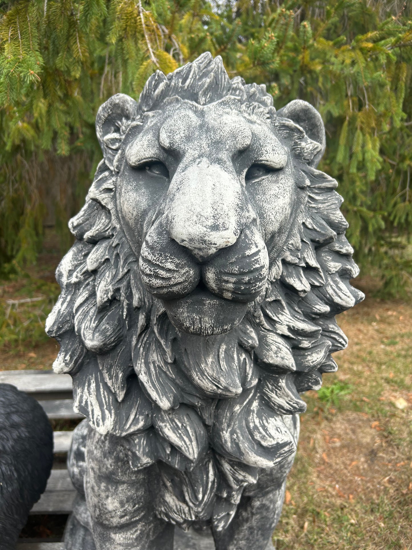 Estate Lion