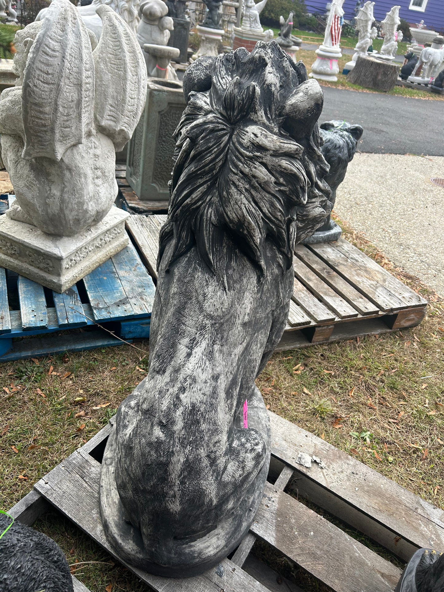 Estate Lion