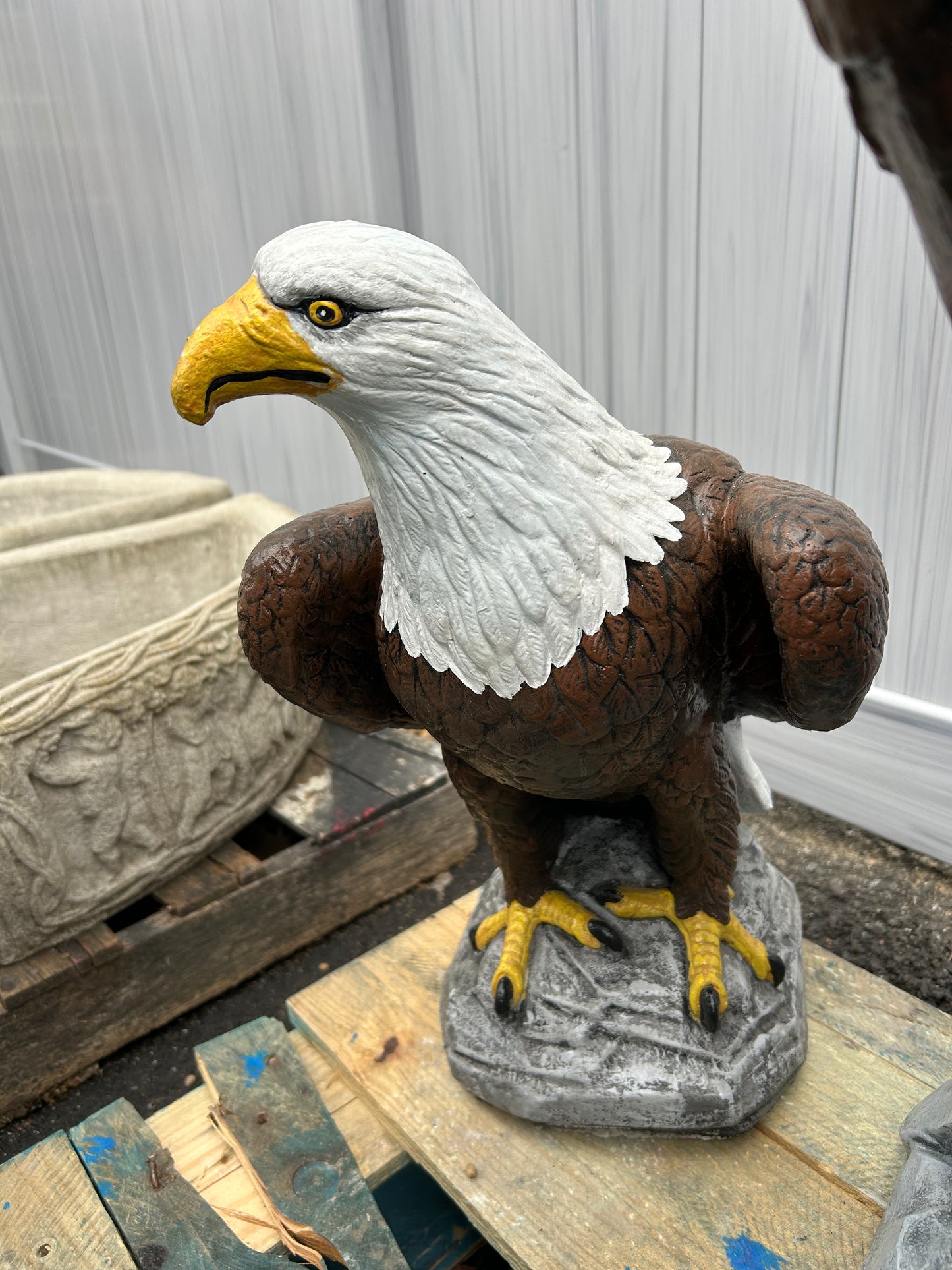 Eagle Wings Down
