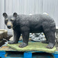 Large Walking Bear