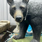 Large Walking Bear