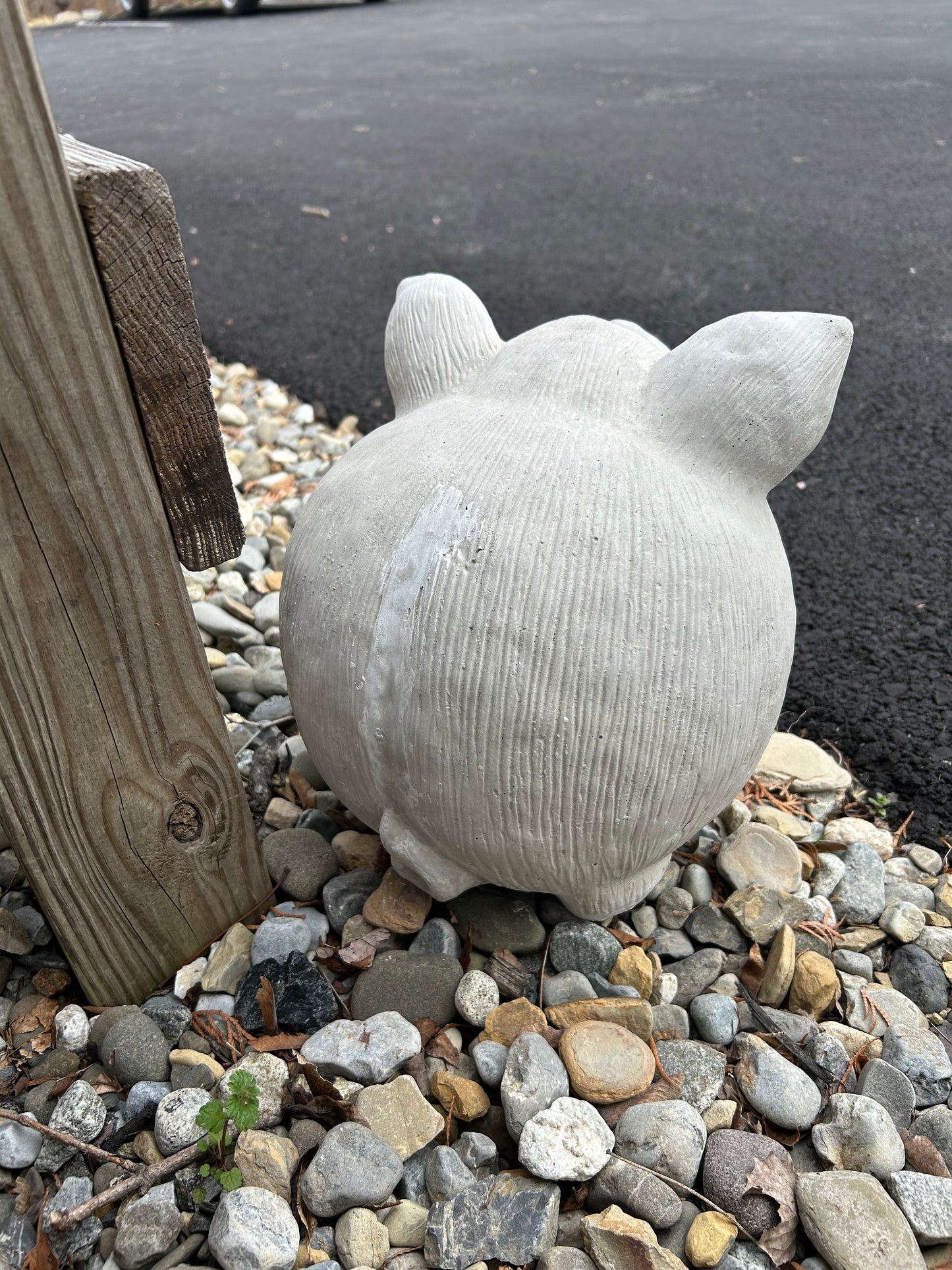 Fat Pig