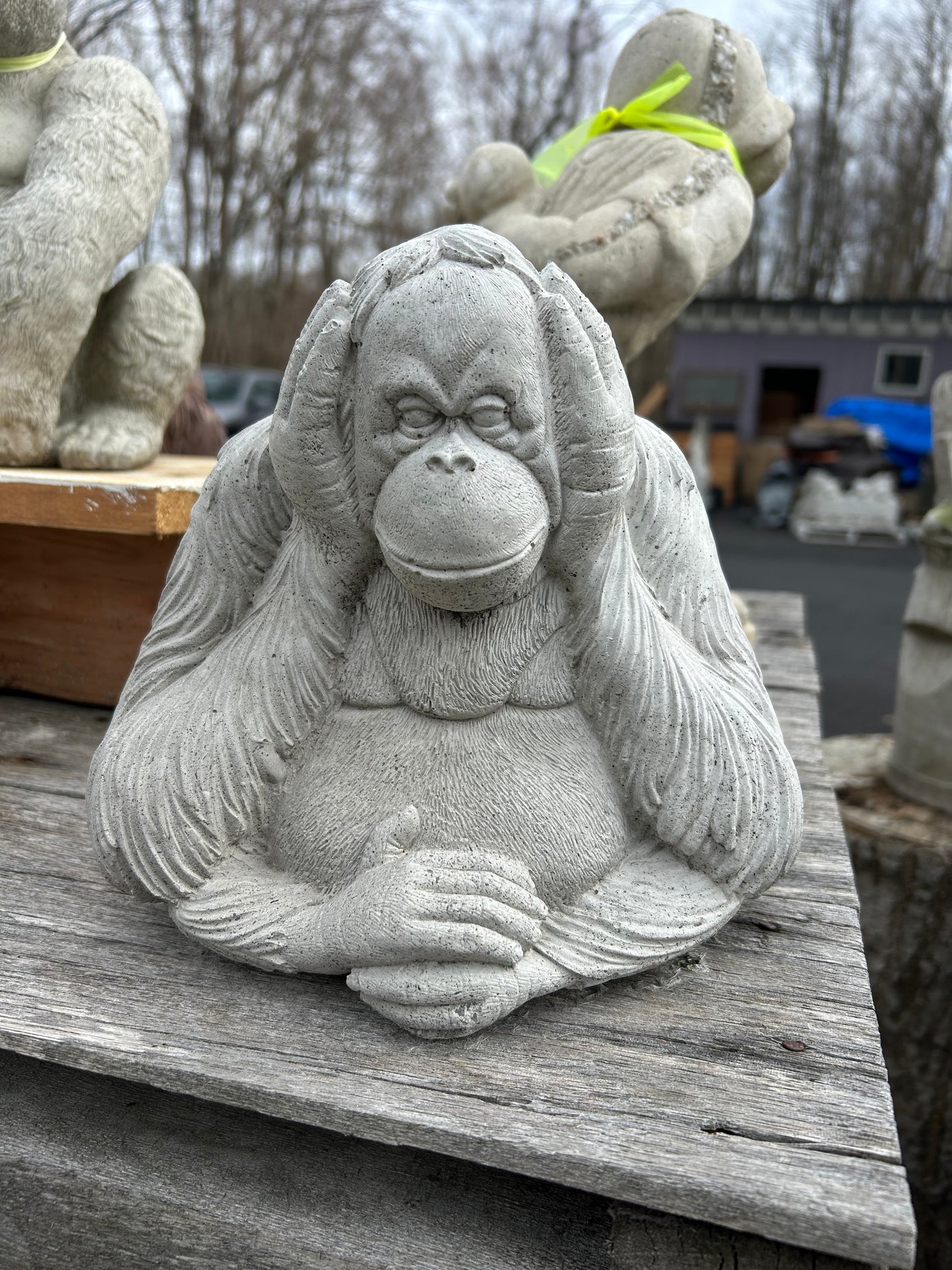 Gorilla: Hear No Evil