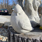 Cardinal Statue