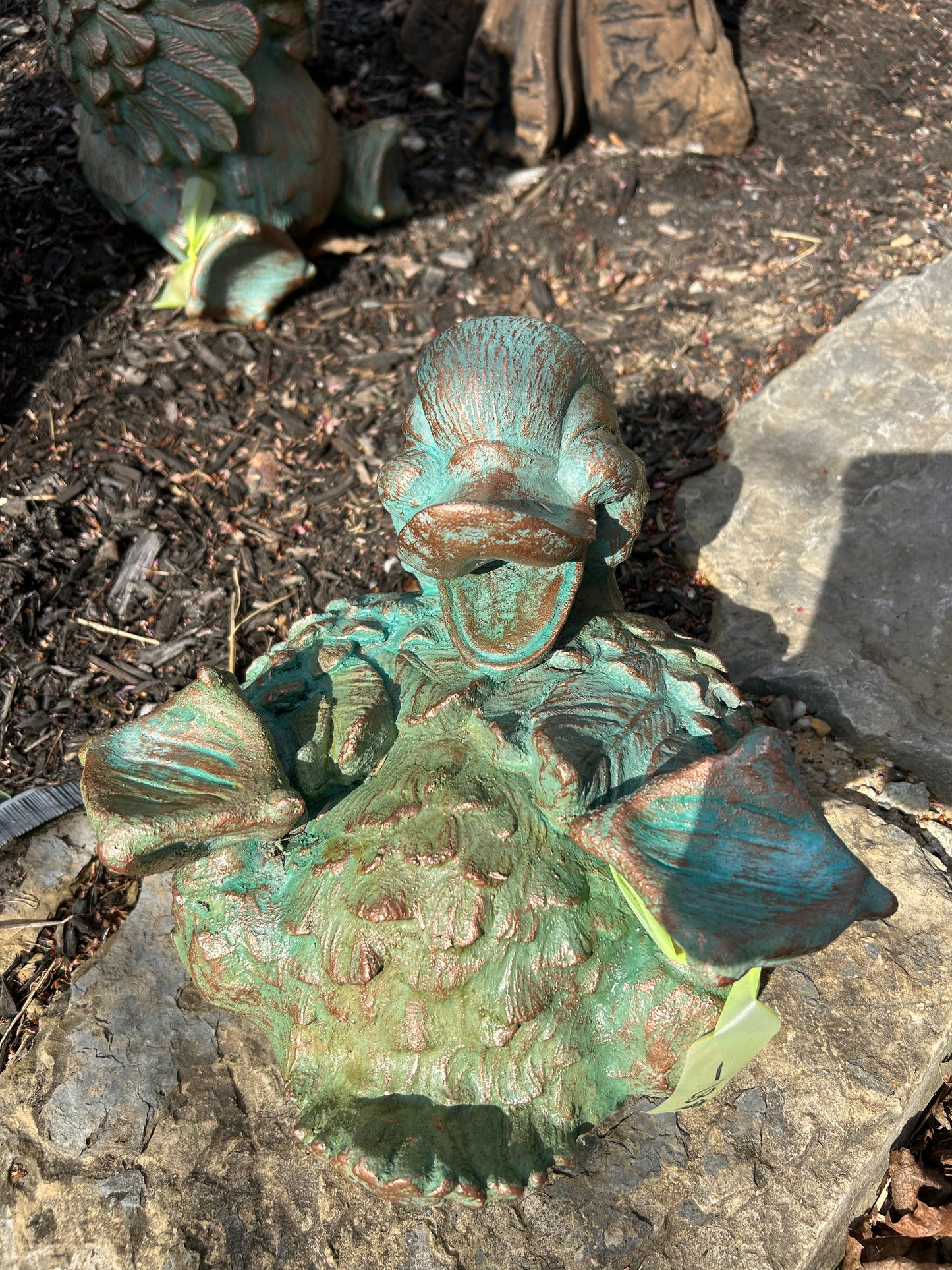 Laughing Duck Down