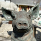 Arnold the Pig Statue