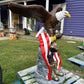 X-Lrg Eagle with Flag and Battle Cross