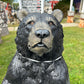 X-Large Sitting Bear