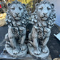 Estate Lion