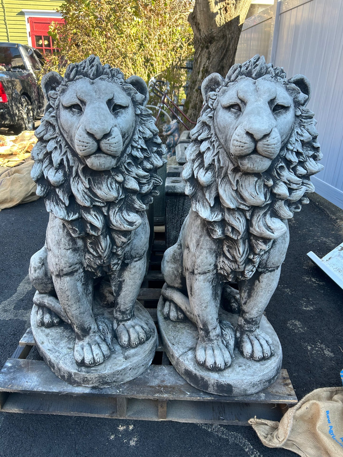 Estate Lion