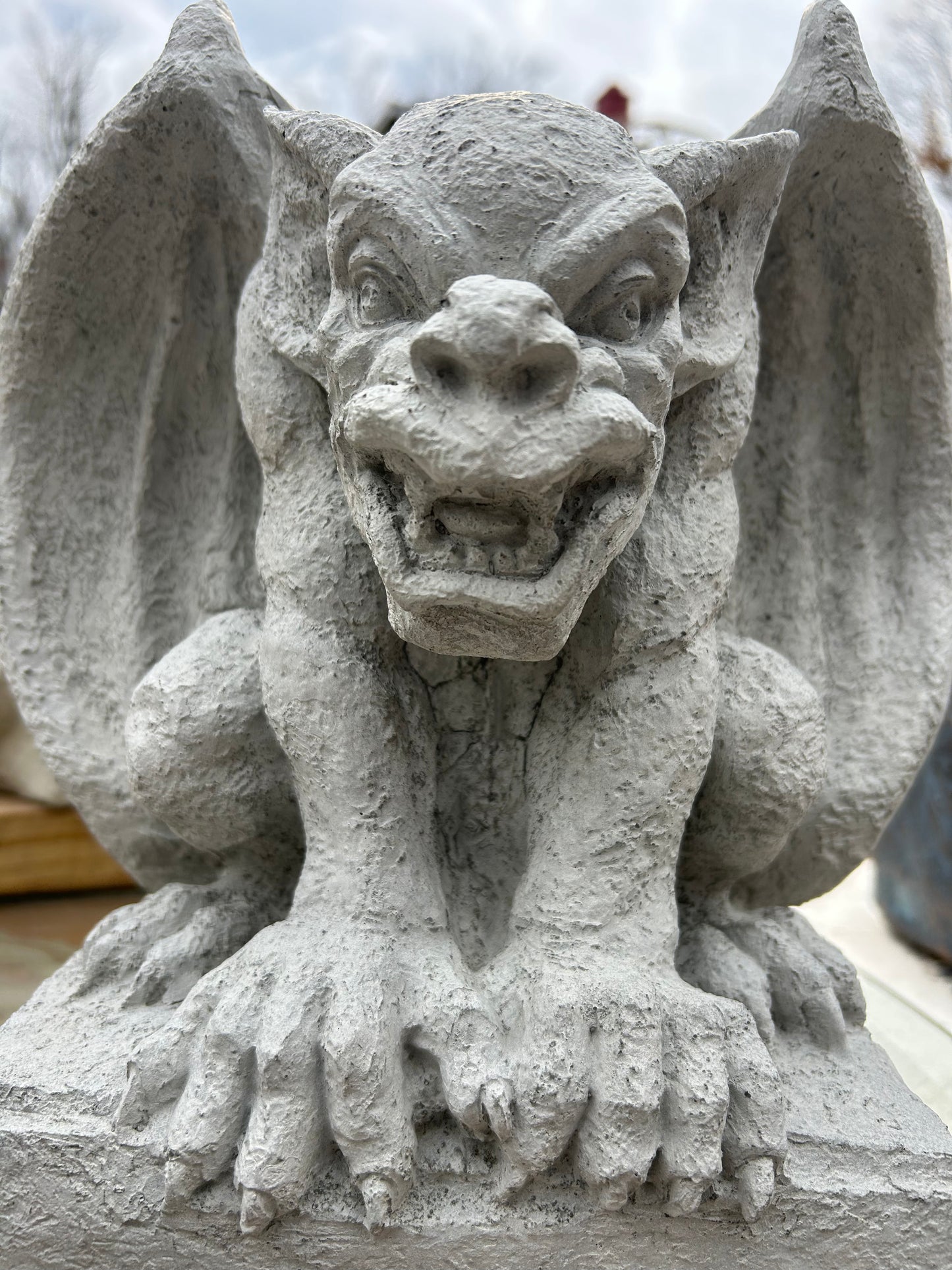 Angry Gargoyle