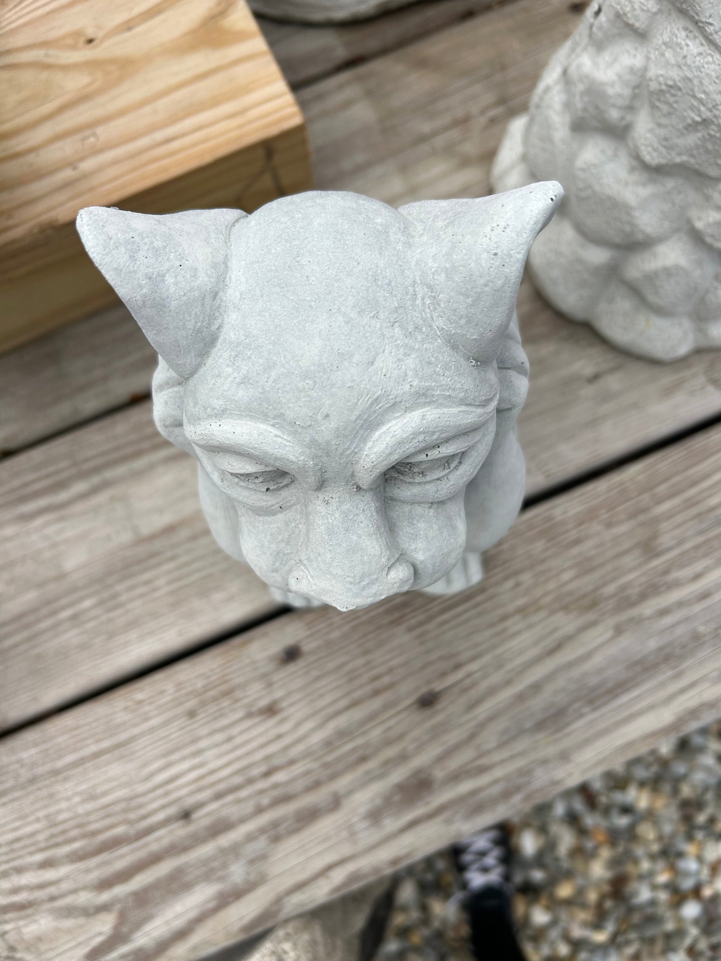 Daydreaming Gargoyle