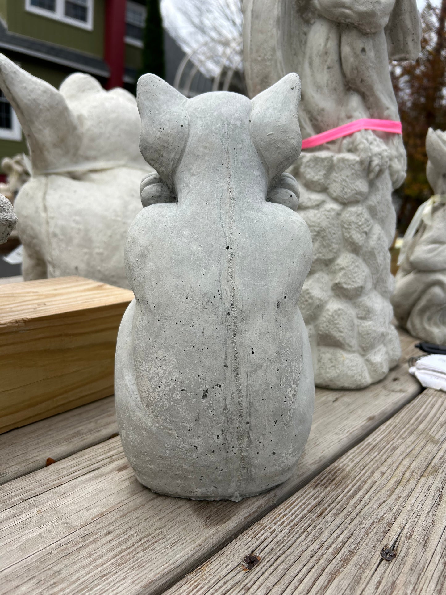 Daydreaming Gargoyle