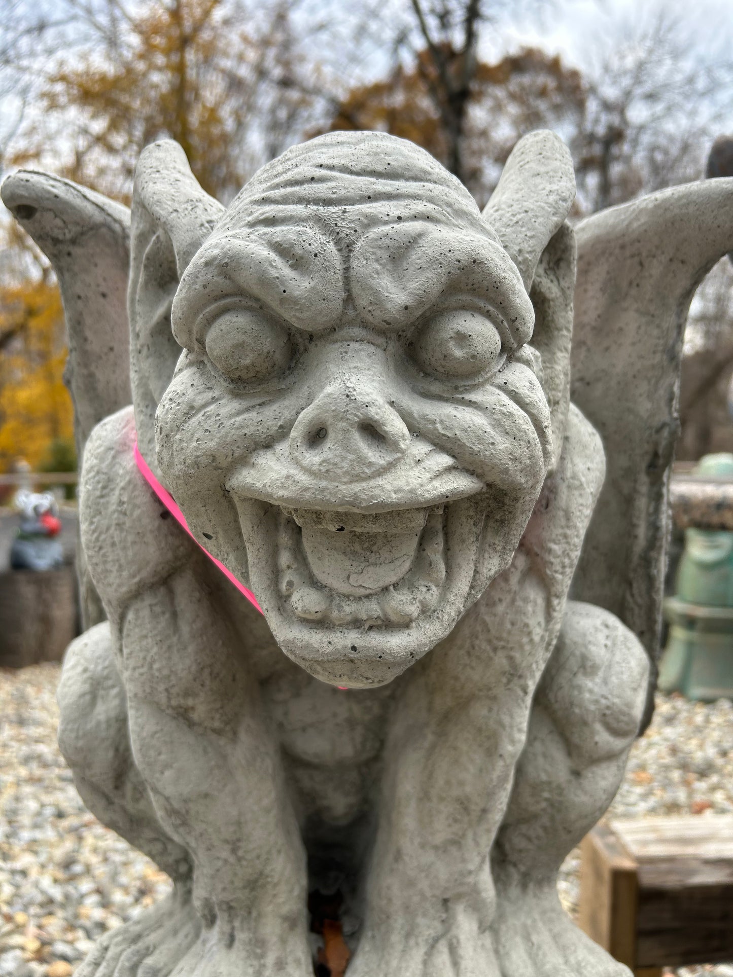 Screaming Gargoyle