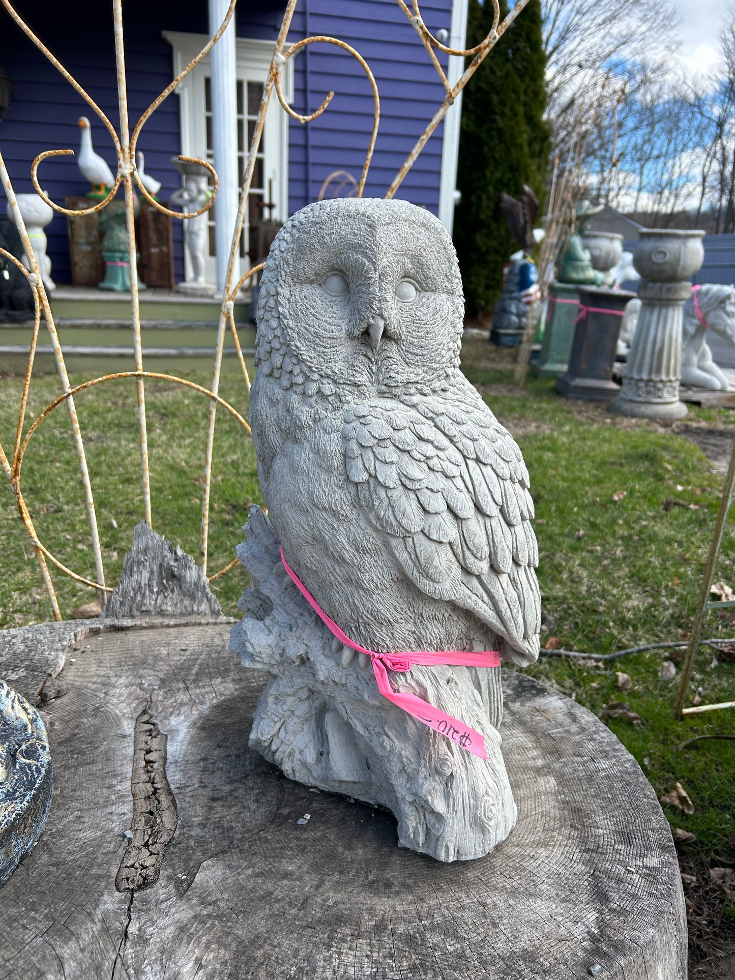 Large Owl
