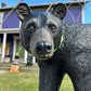 Large Walking Bear