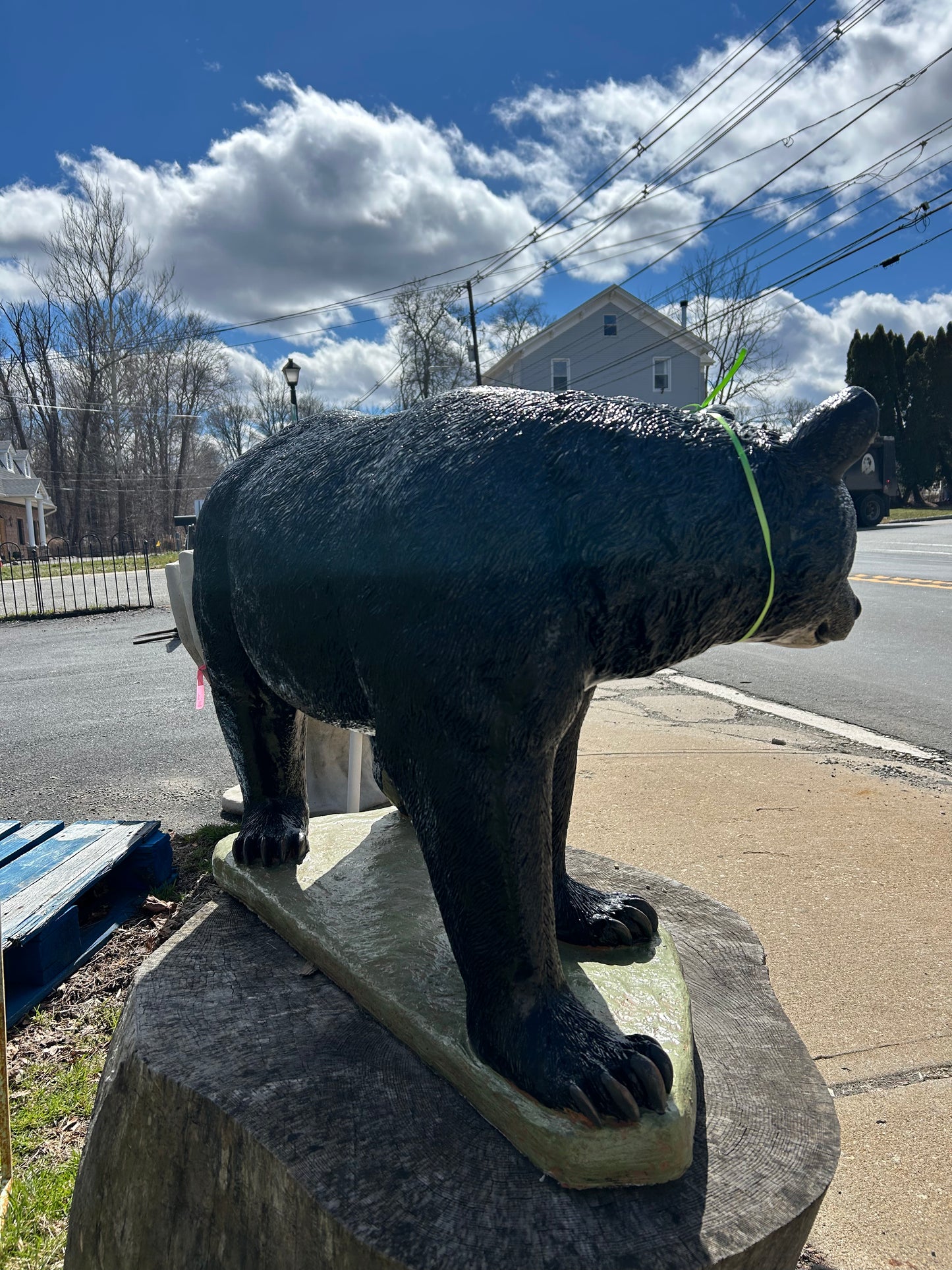 Large Walking Bear