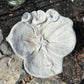 Fairy Birdbath (1 pc)