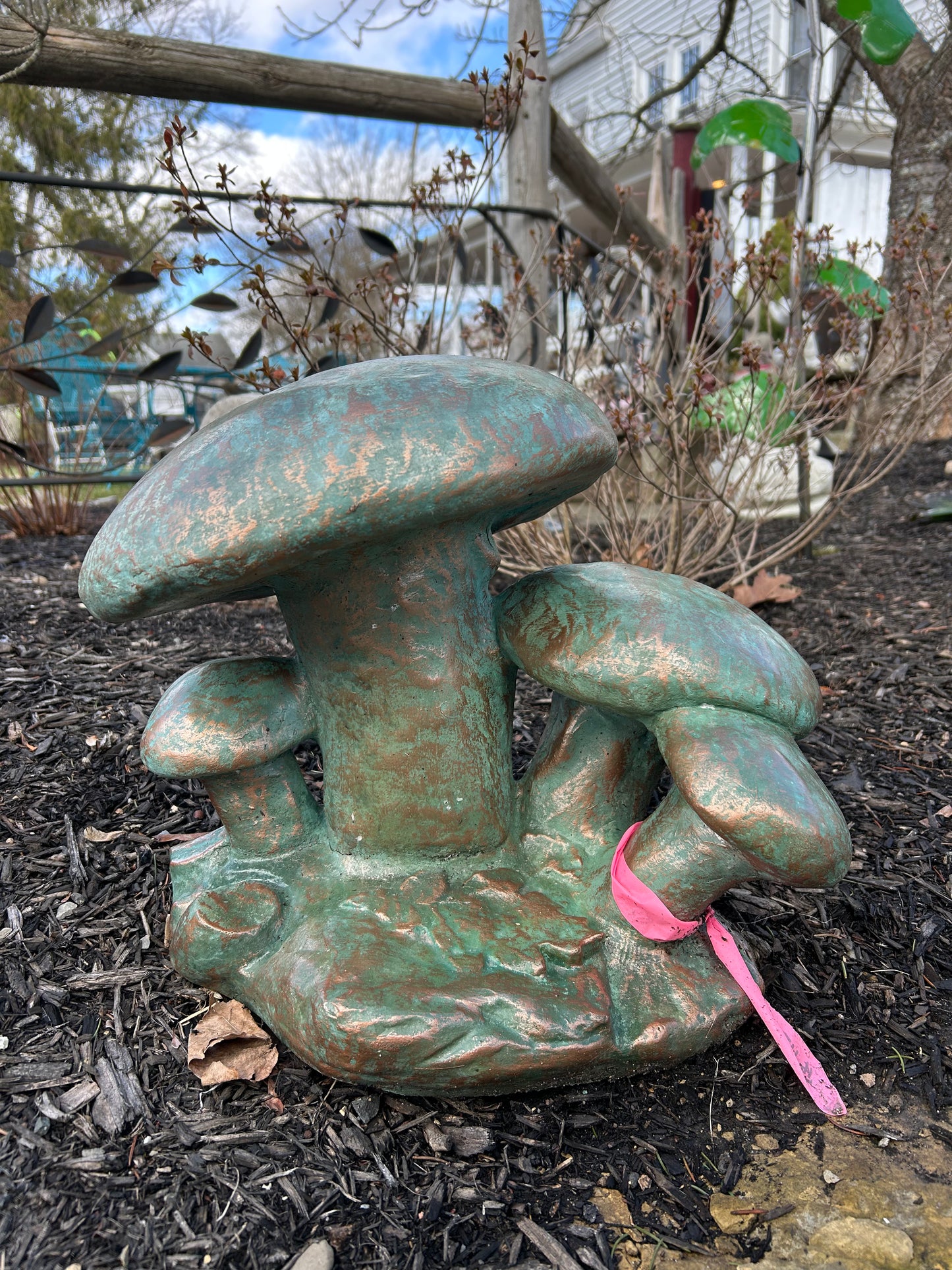 Mushroom Family