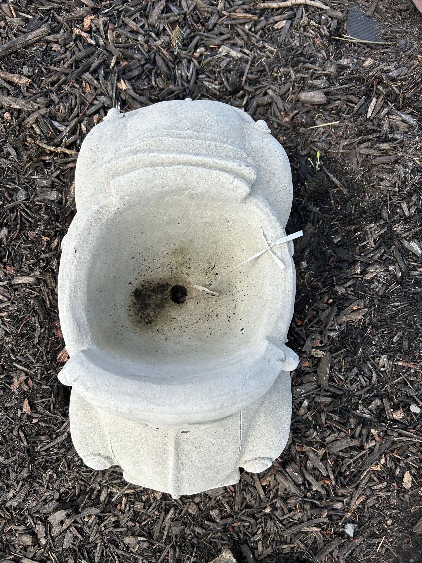 Beetle Car Planter