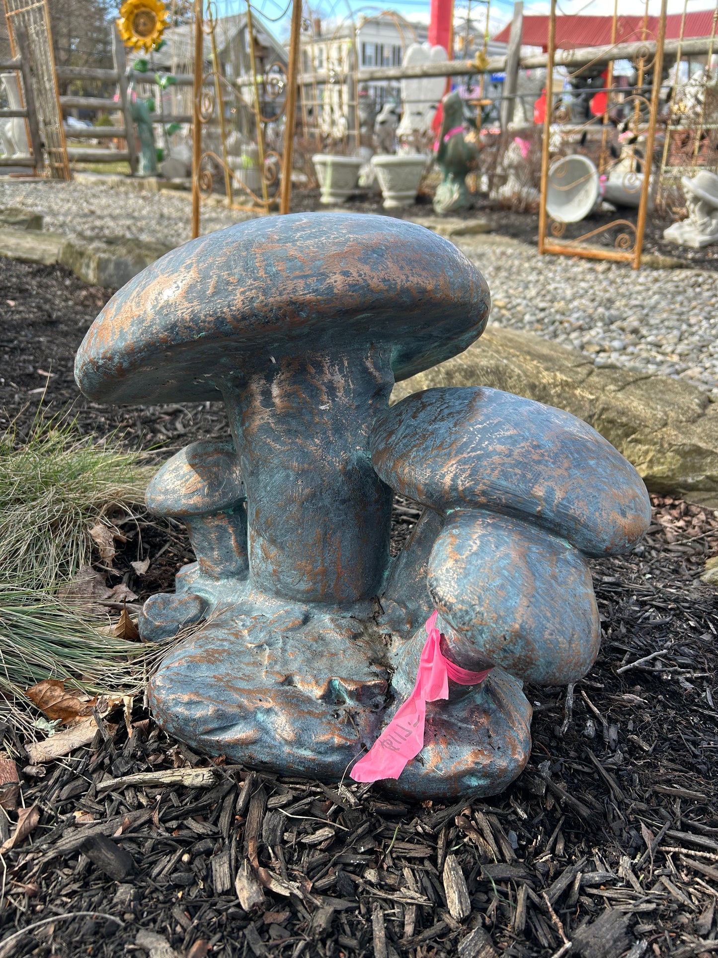 Mushroom Family
