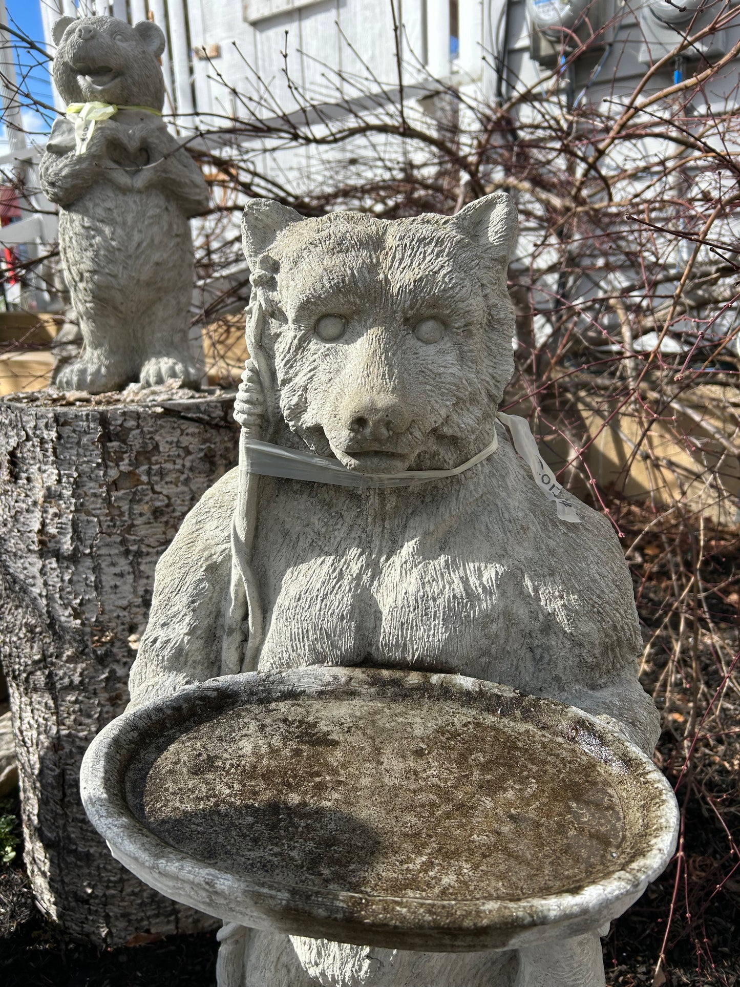“Bearly” Fishing