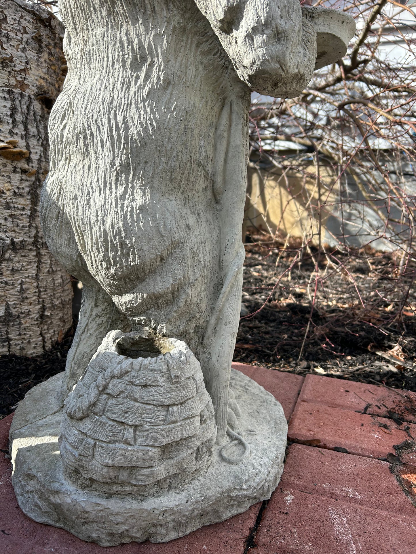 “Bearly” Fishing